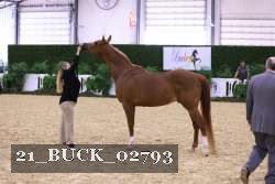 21_BUCK_02793 proof