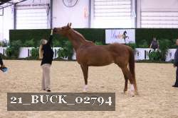 21_BUCK_02794 proof