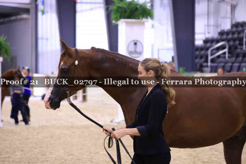 Proof 21_BUCK_02797