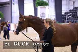 21_BUCK_02797 proof