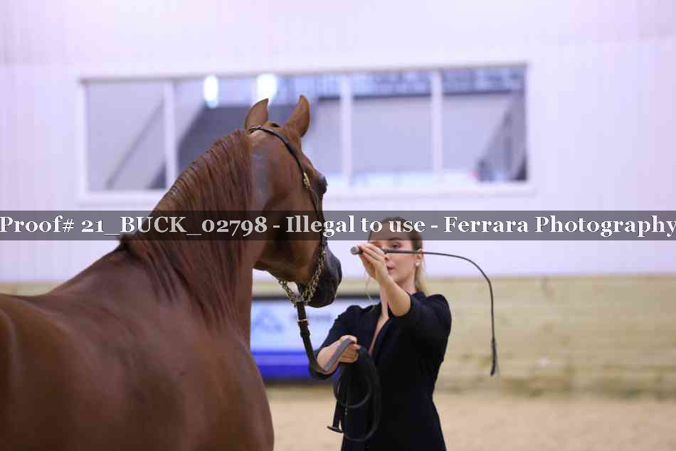 Proof 21_BUCK_02798