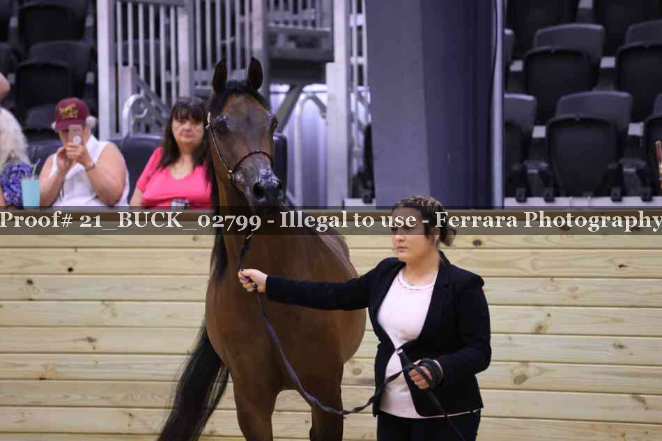 Proof 21_BUCK_02799
