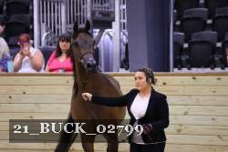 21_BUCK_02799 proof