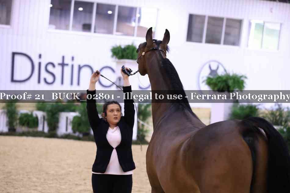 Proof 21_BUCK_02801