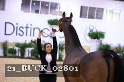 21_BUCK_02801 proof