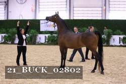 21_BUCK_02802 proof