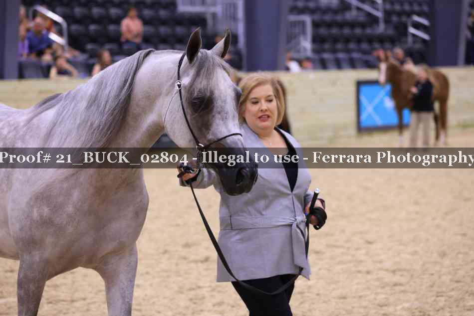 Proof 21_BUCK_02804