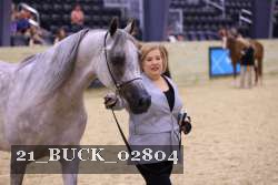 21_BUCK_02804 proof