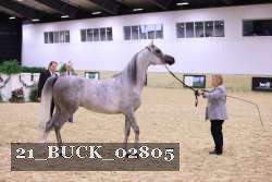 21_BUCK_02805 proof