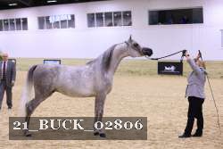21_BUCK_02806 proof