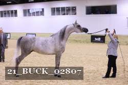 21_BUCK_02807 proof