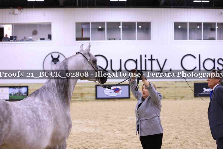 Proof 21_BUCK_02808