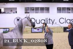 21_BUCK_02808 proof