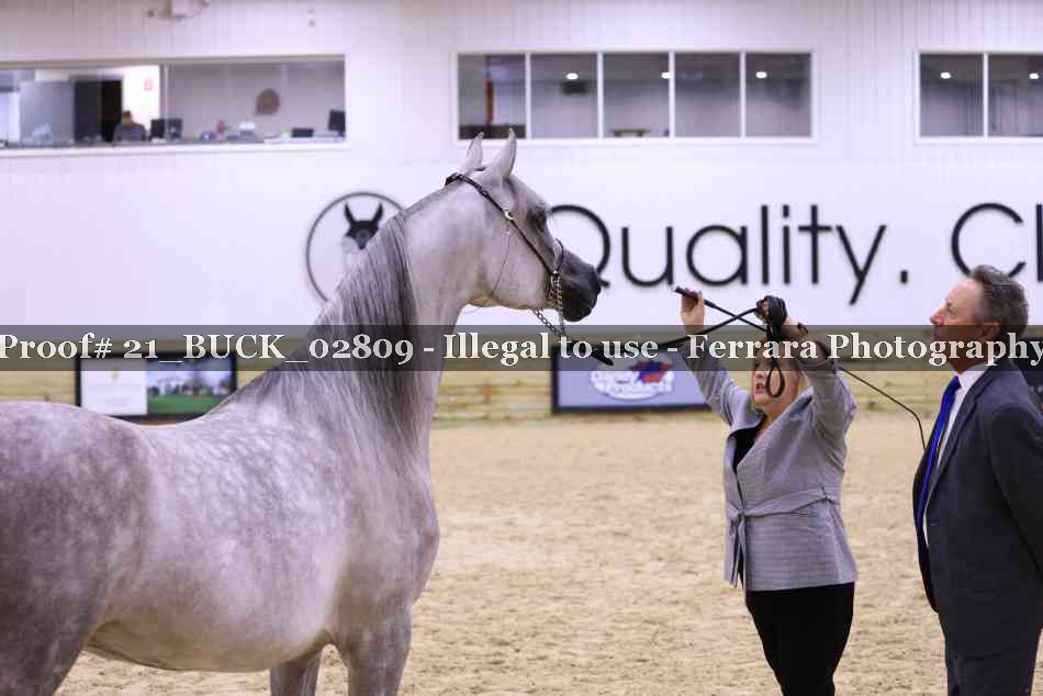 Proof 21_BUCK_02809