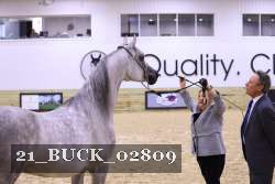21_BUCK_02809 proof