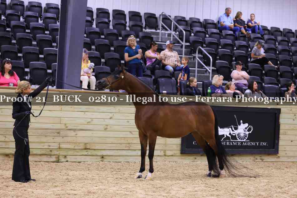 Proof 21_BUCK_02810