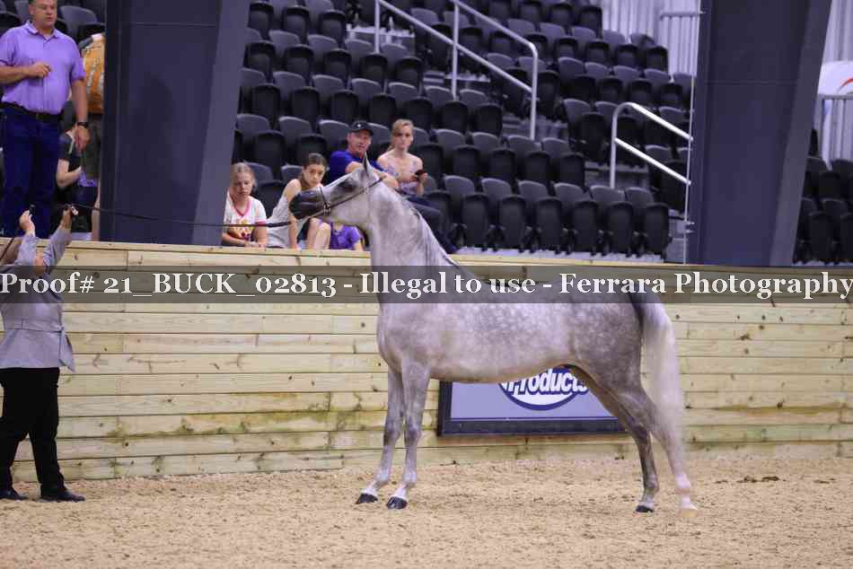 Proof 21_BUCK_02813