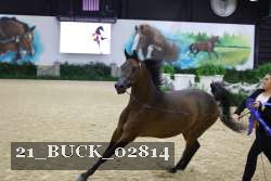 21_BUCK_02814 proof