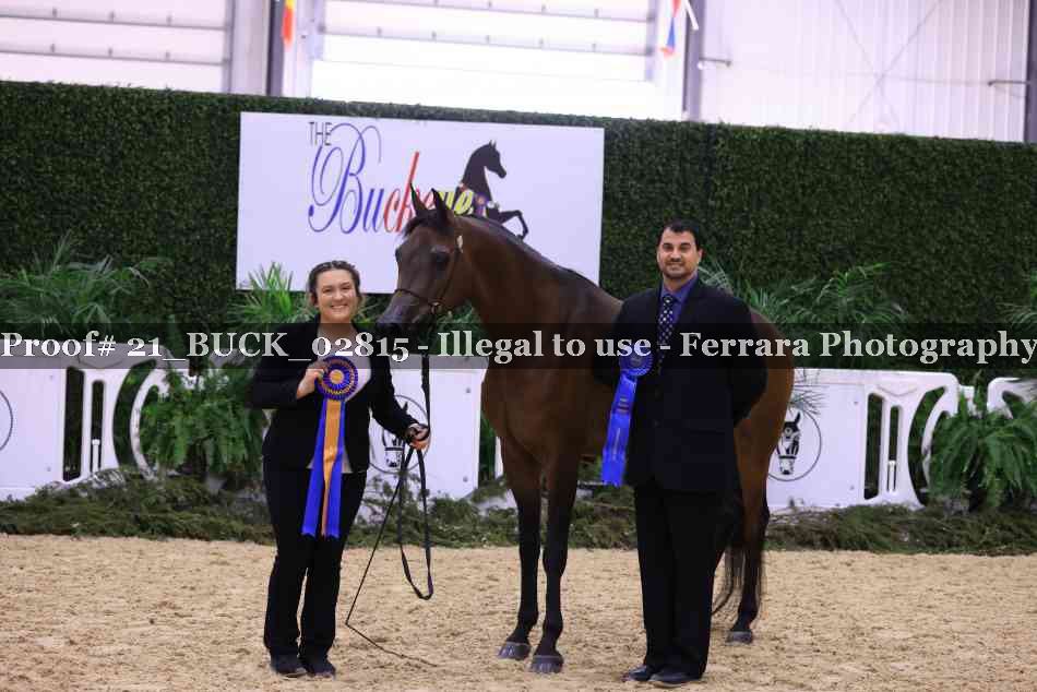 Proof 21_BUCK_02815