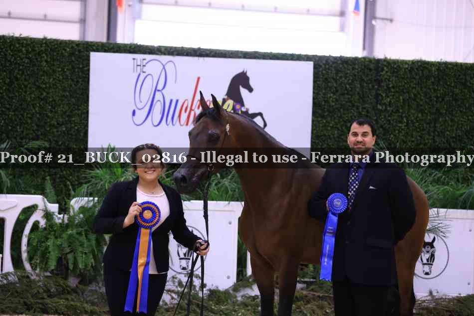 Proof 21_BUCK_02816