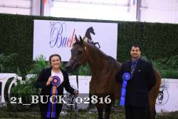 21_BUCK_02816 proof