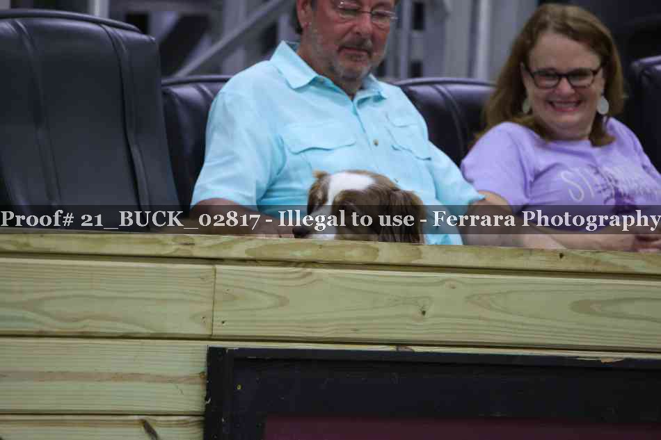 Proof 21_BUCK_02817