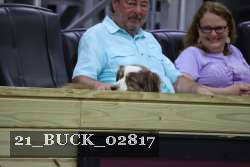 21_BUCK_02817 proof