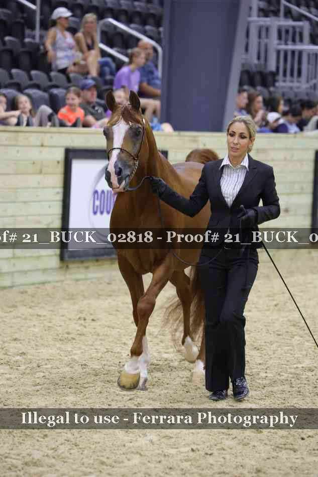Proof 21_BUCK_02818