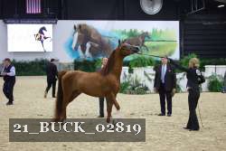 21_BUCK_02819 proof