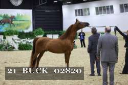 21_BUCK_02820 proof