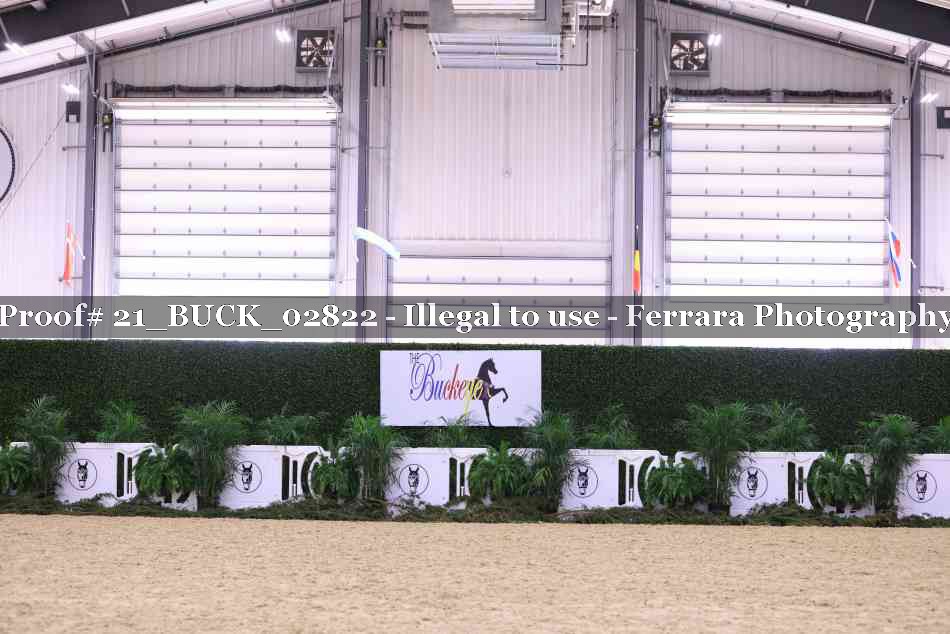 Proof 21_BUCK_02822