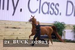 21_BUCK_02823 proof