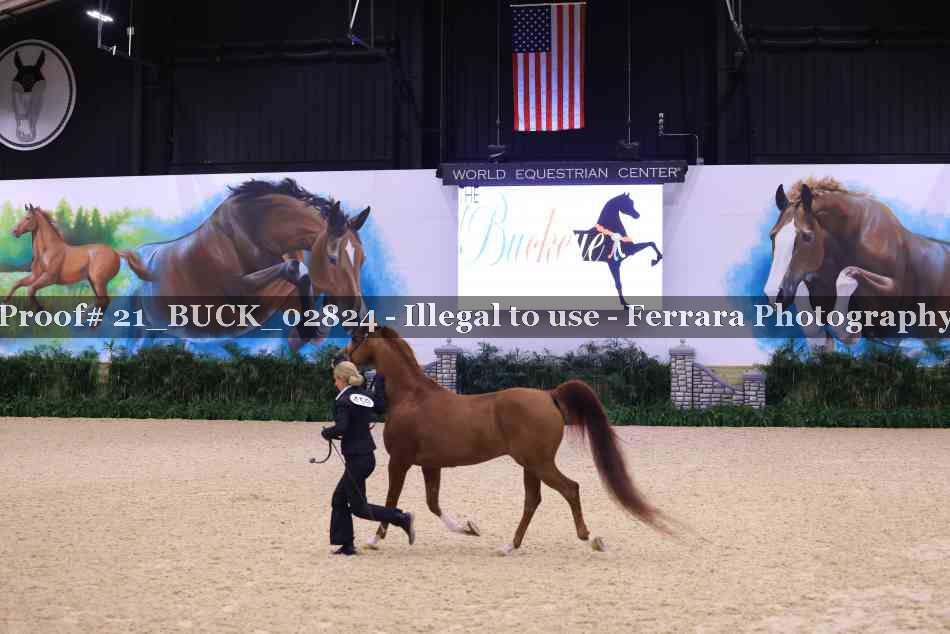 Proof 21_BUCK_02824