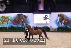21_BUCK_02824 proof