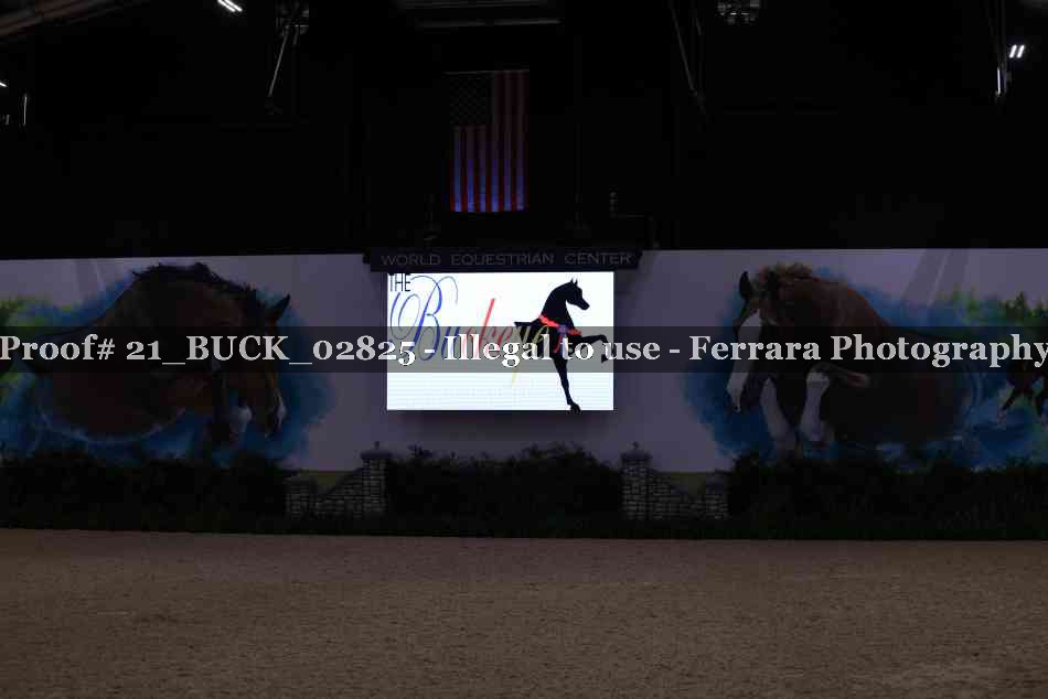 Proof 21_BUCK_02825