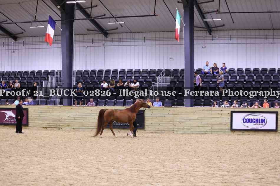 Proof 21_BUCK_02826