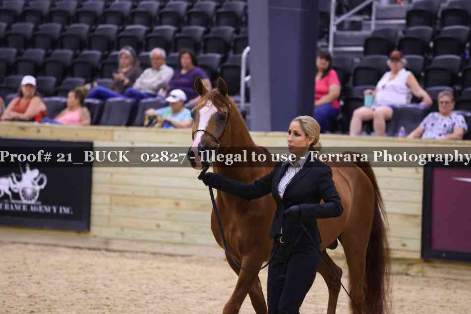 Proof 21_BUCK_02827
