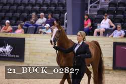 21_BUCK_02827 proof