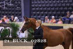 21_BUCK_02828 proof