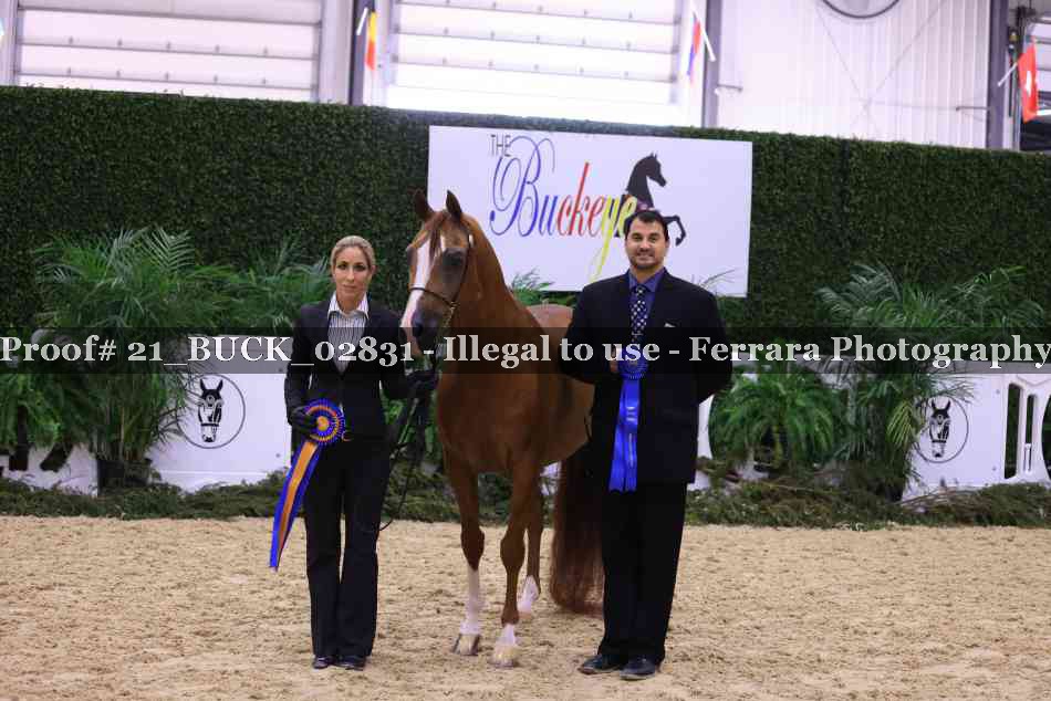Proof 21_BUCK_02831