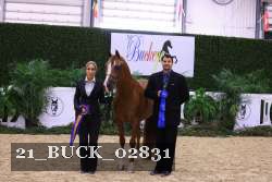 21_BUCK_02831 proof