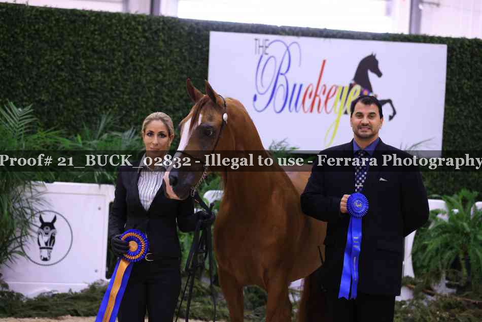 Proof 21_BUCK_02832