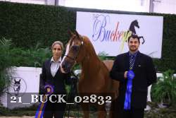 21_BUCK_02832 proof
