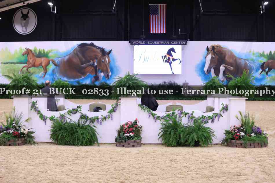 Proof 21_BUCK_02833
