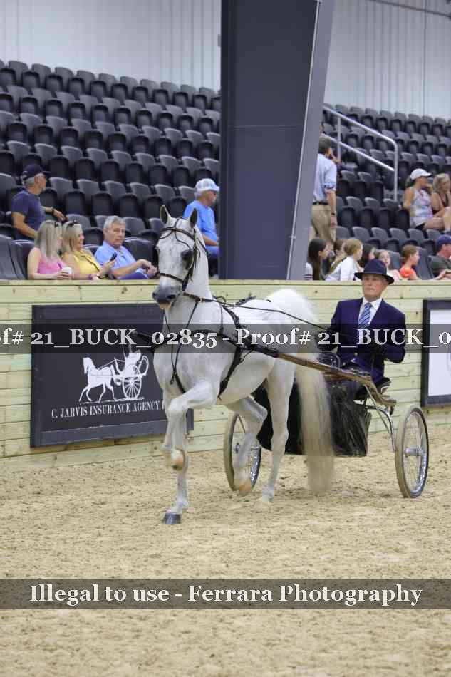 Proof 21_BUCK_02835