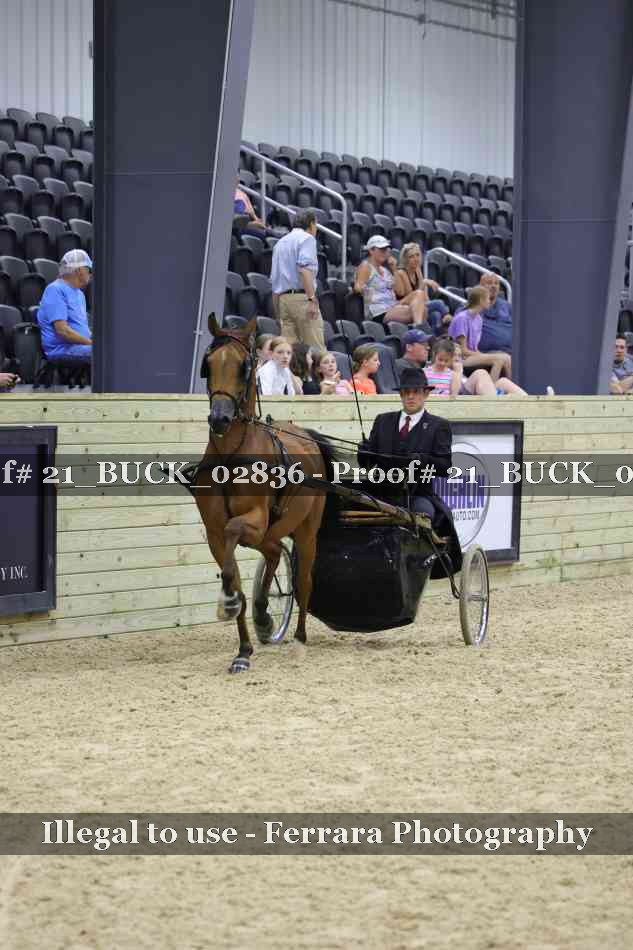 Proof 21_BUCK_02836