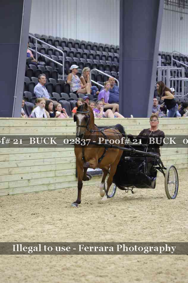 Proof 21_BUCK_02837