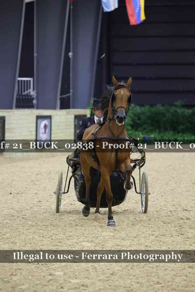 Proof 21_BUCK_02838