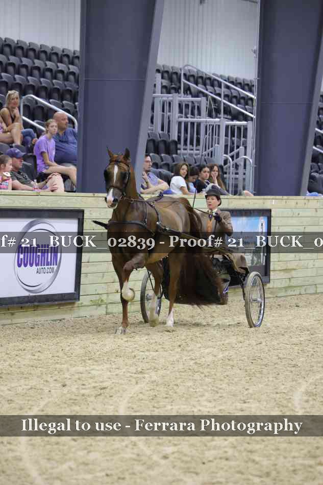 Proof 21_BUCK_02839