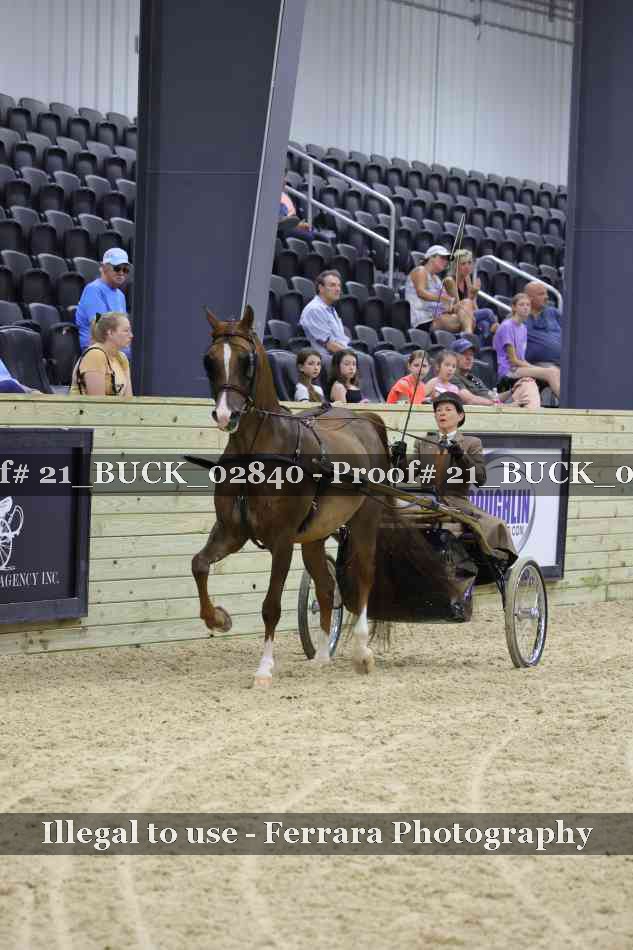 Proof 21_BUCK_02840